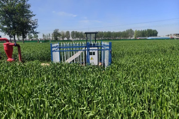 MC-CQCB-D型物聯(lián)網(wǎng)智能蟲(chóng)情